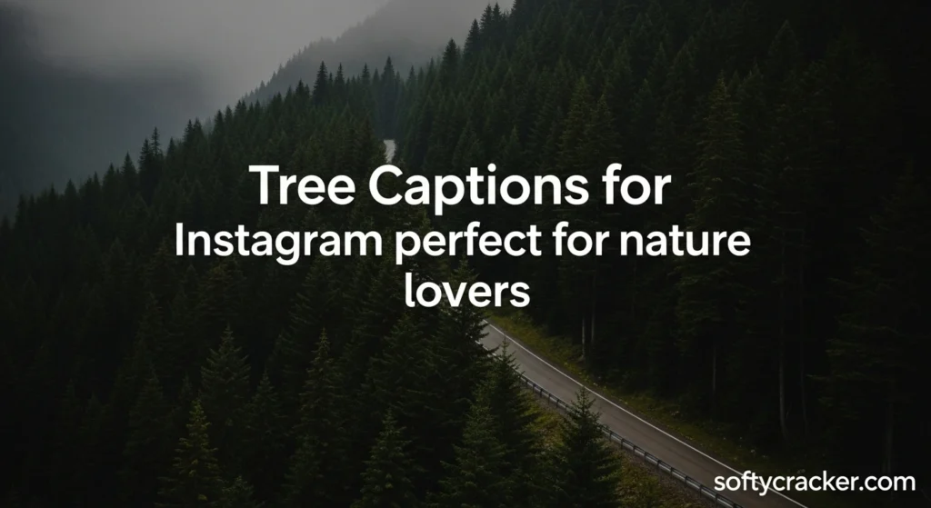 Tree Captions for instagram perfect for nature lovers