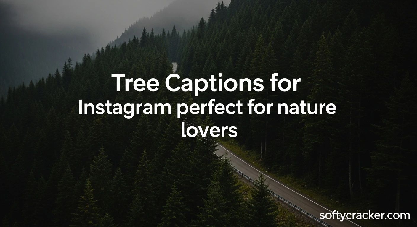 Tree Captions for instagram perfect for nature lovers