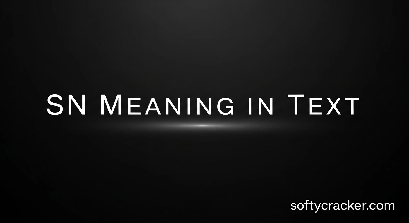 SN Meaning in Text
